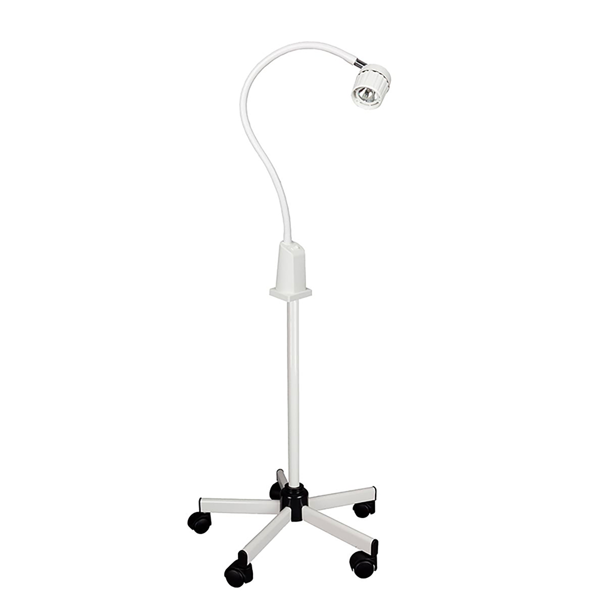 20W Halogen lamp